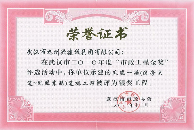 鳳凰一路道排工程“銀獎(jiǎng)工程”