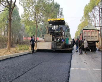 武漢光谷東湖高新開(kāi)發(fā)區(qū)鳳凰一路道路工程