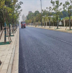 武漢市后湖大道延長(zhǎng)線道路工程