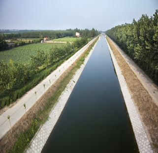 新洲區(qū)漲度湖蔬菜板塊水利基礎(chǔ)設(shè)施配套工程